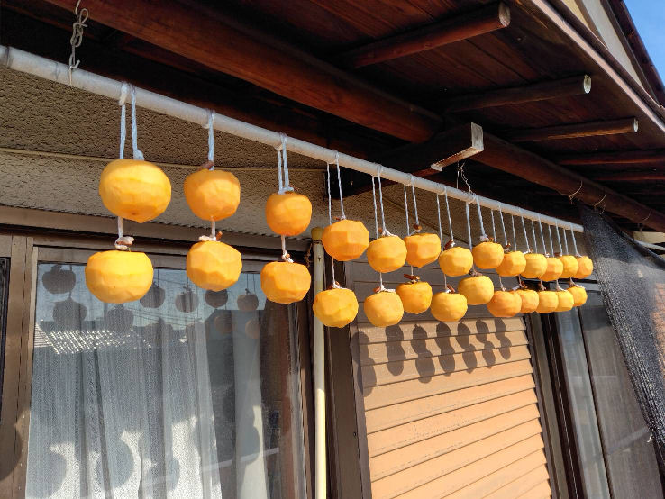 making dried persimmon 2025 fall.jpg